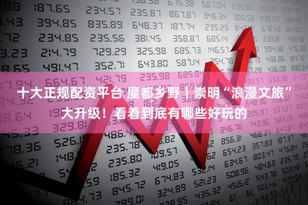 十大正规配资平台 魔都乡野｜崇明“浪漫文旅”大升级！看看到底有哪些好玩的