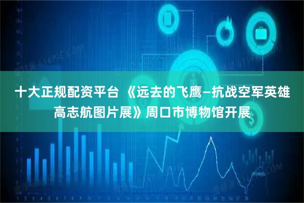 十大正规配资平台 《远去的飞鹰—抗战空军英雄高志航图片展》周口市博物馆开展