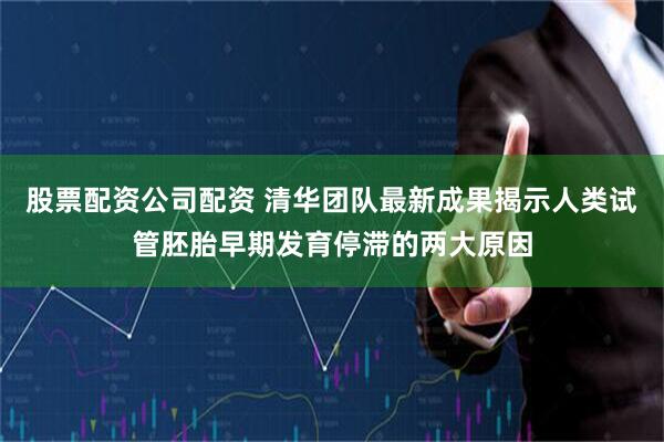 股票配资公司配资 清华团队最新成果揭示人类试管胚胎早期发育停滞的两大原因
